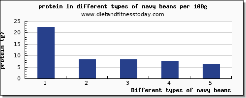 navy beans protein per 100g